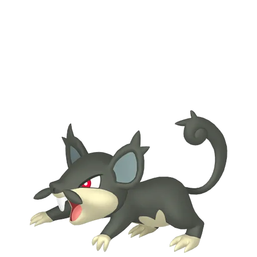 Rattata-Alola