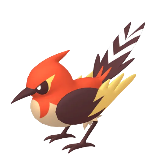 Shiny Fletchinder