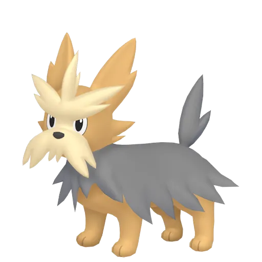 Shiny Herdier