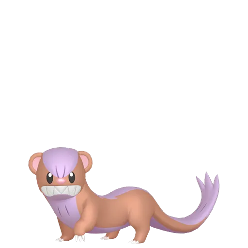 Shiny Yungoos